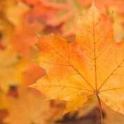 も　か 出勤します♪ XSTASY（エクスタシー）