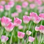 も　か 時間はあるようでとても短い。 XSTASY（エクスタシー）