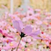 も　か 次回は29日です XSTASY（エクスタシー）