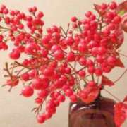 ヒメ日記 2026/01/05 05:16 投稿 も　か XSTASY（エクスタシー）