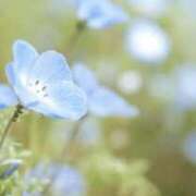 ヒメ日記 2026/01/13 06:08 投稿 も　か XSTASY（エクスタシー）