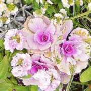 ヒメ日記 2026/01/15 18:58 投稿 も　か XSTASY（エクスタシー）