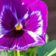 ヒメ日記 2026/01/16 08:32 投稿 も　か XSTASY（エクスタシー）