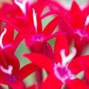 ヒメ日記 2026/01/29 05:46 投稿 も　か XSTASY（エクスタシー）