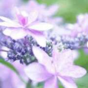 ヒメ日記 2026/02/10 05:26 投稿 も　か XSTASY（エクスタシー）