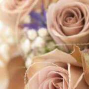 ヒメ日記 2026/02/14 06:35 投稿 も　か XSTASY（エクスタシー）