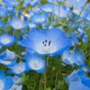 ヒメ日記 2026/02/17 06:05 投稿 も　か XSTASY（エクスタシー）