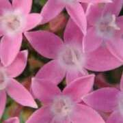 ヒメ日記 2026/02/28 06:18 投稿 も　か XSTASY（エクスタシー）