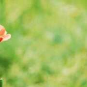 ヒメ日記 2026/03/12 06:08 投稿 も　か XSTASY（エクスタシー）