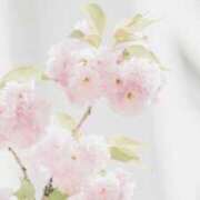 ヒメ日記 2026/03/23 05:28 投稿 も　か XSTASY（エクスタシー）