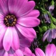 ヒメ日記 2026/03/28 05:58 投稿 も　か XSTASY（エクスタシー）