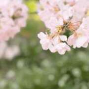 ヒメ日記 2026/03/30 05:18 投稿 も　か XSTASY（エクスタシー）