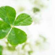 ヒメ日記 2026/04/02 06:19 投稿 も　か XSTASY（エクスタシー）