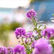 ヒメ日記 2026/04/04 05:39 投稿 も　か XSTASY（エクスタシー）