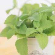 ヒメ日記 2026/04/08 06:19 投稿 も　か XSTASY（エクスタシー）