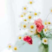 ヒメ日記 2026/04/09 05:15 投稿 も　か XSTASY（エクスタシー）