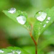 も　か おはようございます。 XSTASY（エクスタシー）