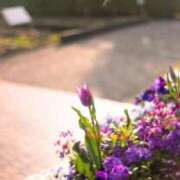 ヒメ日記 2026/04/15 05:09 投稿 も　か XSTASY（エクスタシー）