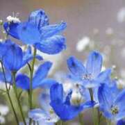 ヒメ日記 2026/04/16 05:32 投稿 も　か XSTASY（エクスタシー）