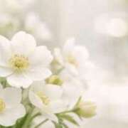 ヒメ日記 2026/04/17 05:29 投稿 も　か XSTASY（エクスタシー）