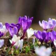 ヒメ日記 2026/04/19 06:54 投稿 も　か XSTASY（エクスタシー）