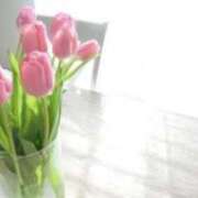 ヒメ日記 2026/04/20 05:58 投稿 も　か XSTASY（エクスタシー）