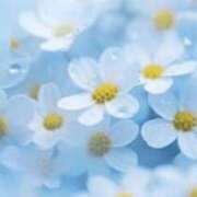 ヒメ日記 2026/04/23 05:24 投稿 も　か XSTASY（エクスタシー）