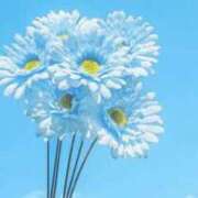 ヒメ日記 2026/04/24 05:43 投稿 も　か XSTASY（エクスタシー）