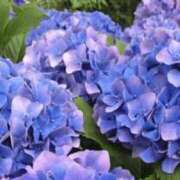 ヒメ日記 2026/06/01 05:42 投稿 も　か XSTASY（エクスタシー）
