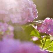 ヒメ日記 2026/06/13 04:59 投稿 も　か XSTASY（エクスタシー）