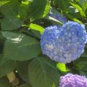 ヒメ日記 2026/06/17 06:17 投稿 も　か XSTASY（エクスタシー）