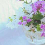 ヒメ日記 2026/07/05 06:22 投稿 も　か XSTASY（エクスタシー）