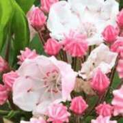 ヒメ日記 2026/08/07 05:25 投稿 も　か XSTASY（エクスタシー）