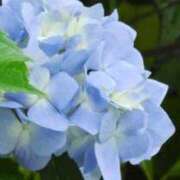 ヒメ日記 2026/08/12 06:16 投稿 も　か XSTASY（エクスタシー）