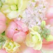 ヒメ日記 2026/10/18 06:04 投稿 も　か XSTASY（エクスタシー）