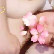 ヒメ日記 2025/04/06 09:30 投稿 なお モアグループ小山人妻花壇