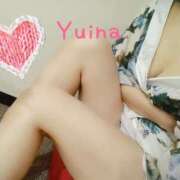 ヒメ日記 2024/12/29 11:47 投稿 ゆいな ヴィヴィッド・クルーマダム・セカンドヴァージン十三店