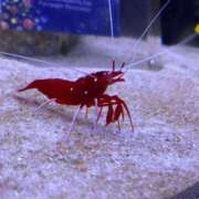 ヒメ日記 2025/01/26 18:29 投稿 安達こなつ 全裸革命orおもいっきり痴漢電車