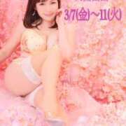 ヒメ日記 2025/02/17 16:55 投稿 安芸まりな コウテイ