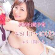 ヒメ日記 2025/03/14 14:24 投稿 安芸まりな コウテイ