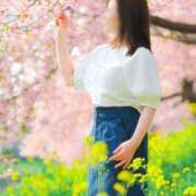 ヒメ日記 2025/03/22 13:24 投稿 安芸まりな コウテイ