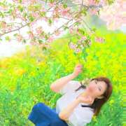 ヒメ日記 2026/02/27 21:47 投稿 安芸まりな コウテイ