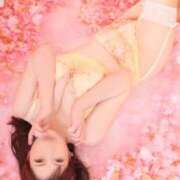 ヒメ日記 2026/02/27 21:55 投稿 安芸まりな コウテイ