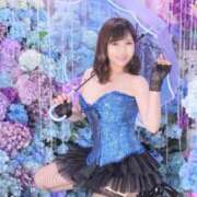 ヒメ日記 2026/03/26 08:31 投稿 安芸まりな コウテイ