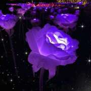 ヒメ日記 2024/12/13 17:03 投稿 おと 治療院.LOVE 宇都宮店