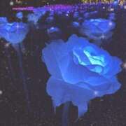 ヒメ日記 2024/12/28 22:42 投稿 おと 治療院.LOVE 宇都宮店