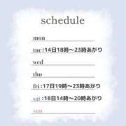 ヒメ日記 2025/01/13 10:03 投稿 おと 治療院.LOVE 宇都宮店