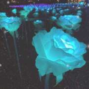 ヒメ日記 2025/01/30 18:33 投稿 おと 治療院.LOVE 宇都宮店