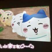 ヒメ日記 2025/12/20 11:03 投稿 おと 治療院.LOVE 宇都宮店