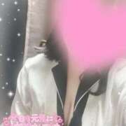 ヒメ日記 2024/12/19 13:12 投稿 ちい 治療院.LOVE 宇都宮店